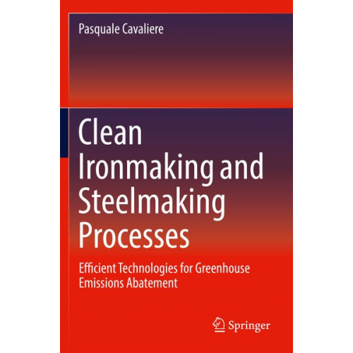 Pasquale Cavaliere - Clean Ironmaking and Steelmaking Processes