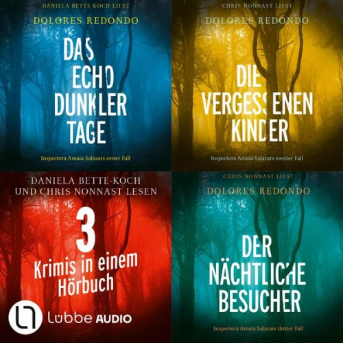 Dolores Redondo - Das Echo dunkler Tage - Die vergessenen Kinder - Der nächtliche Besucher