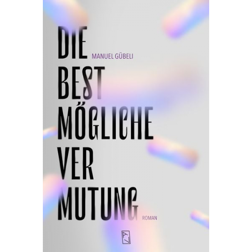 Manuel Gübeli - Die bestmögliche Vermutung