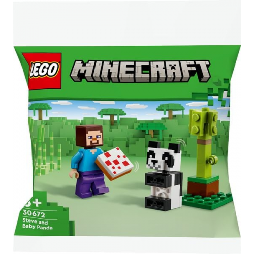 LEGO Minecraft 30672