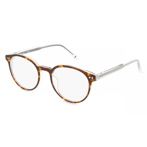 Sting STGVST425 Unisex-Brille inkl. Gläser Vollrand Panto Kunststoff-Gestell 50mm/19mm/145mm, Havanna