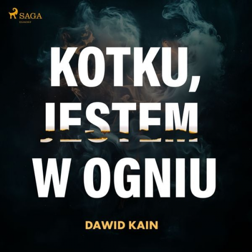 Dawid Kain - Kotku jestem w ogniu