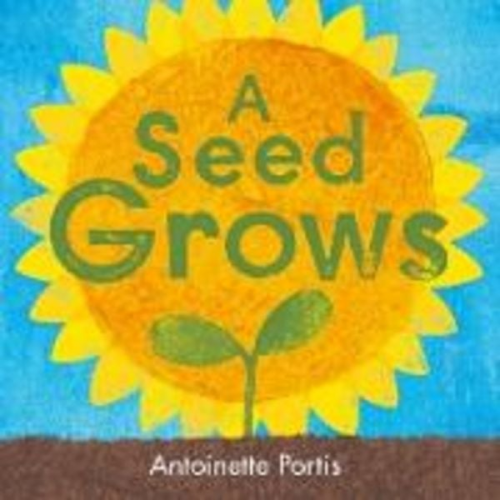 Antoinette Portis - A seed grows