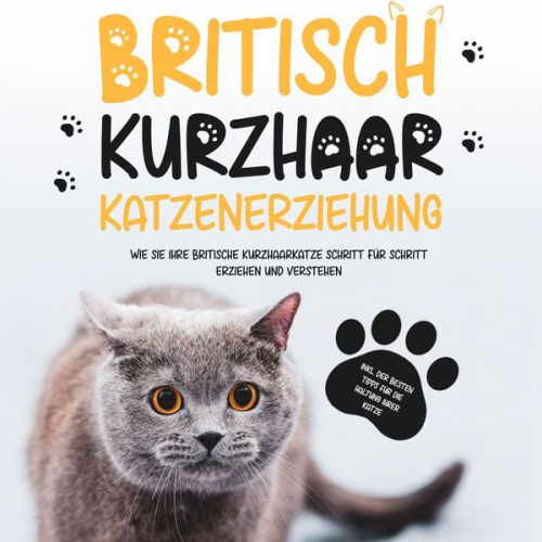 Britta Fährmann - Britisch Kurzhaar Katzenerziehung: Wie Sie Ihre britische Kurzhaarkatze Schritt für Schritt erziehen und verstehen – inkl. der besten Tipps für die Ha