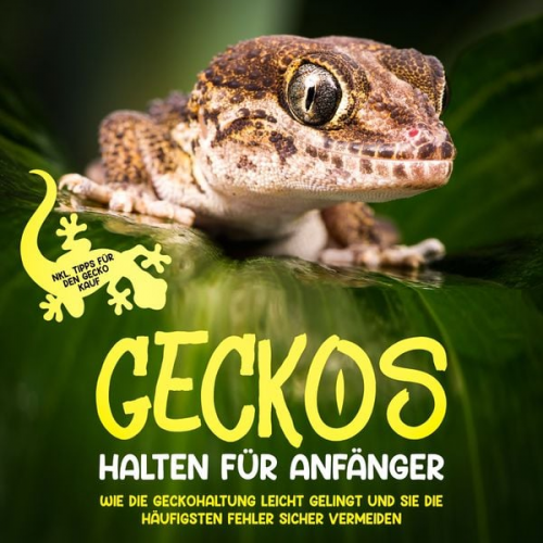 Saskia Meydorn - Geckos halten für Anfänger: Wie die Geckohaltung leicht gelingt und Sie die häufigsten Fehler sicher vermeiden - inkl. Tipps für den Gecko Kauf