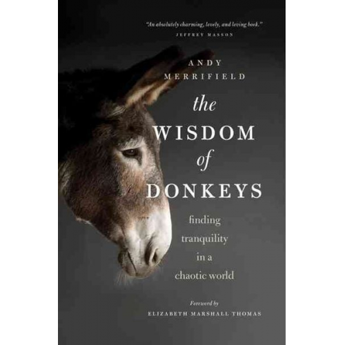 Andy Merrifield - The Wisdom of Donkeys