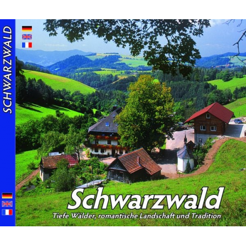 Horst Ziethen - Schwarzwald