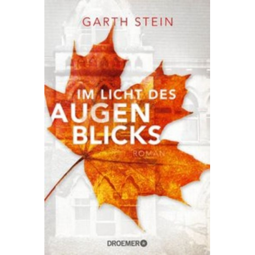 Garth Stein - Im Licht des Augenblicks