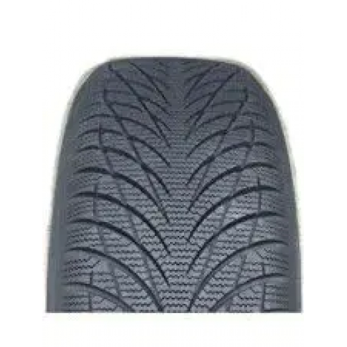 165/70 R14 81T SW602