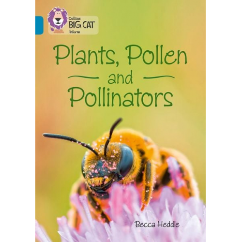 Becca Heddle - Plants, Pollen and Pollinators