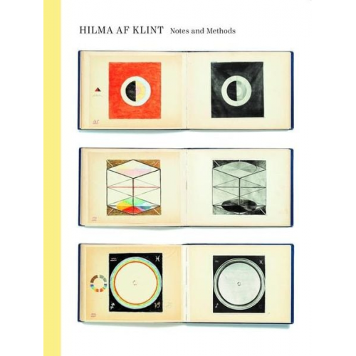 Hilma af Klint - Notes and Methods