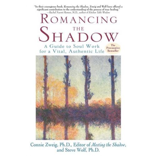 Connie Zweig Steve Wolf - Romancing the Shadow