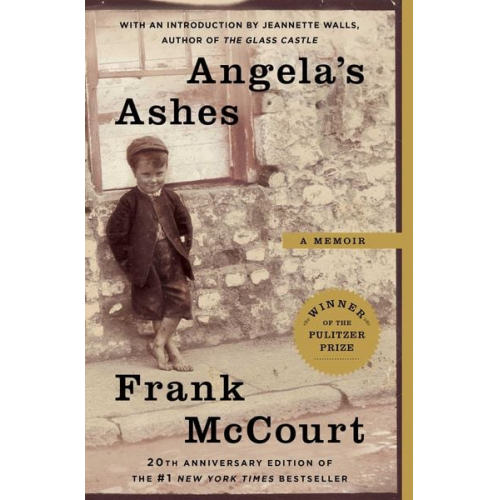 Frank McCourt - Angela's Ashes