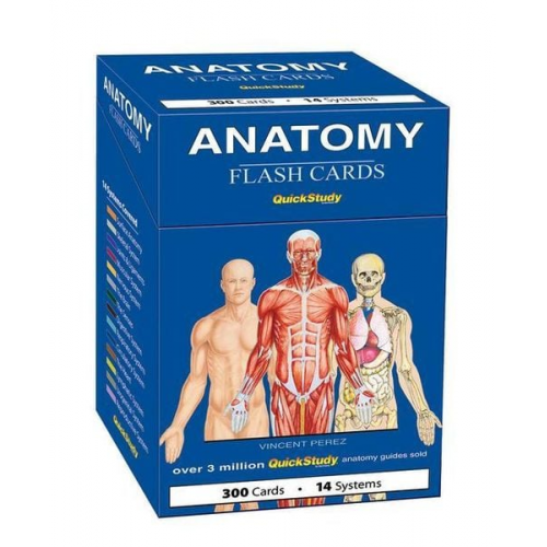 Vincent Perez - Anatomy Flash Cards