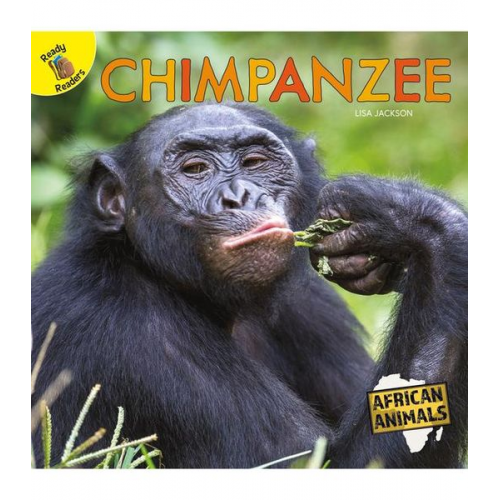 Lisa Jackson - Chimpanzee