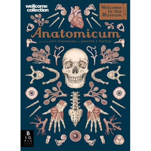 Jennifer Z. Paxton - Anatomicum