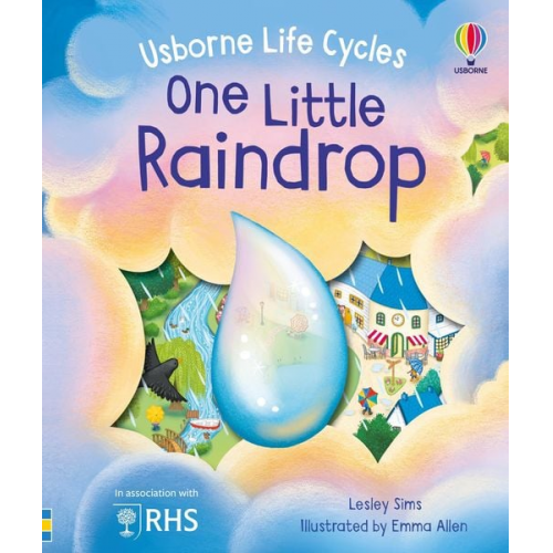 Lesley Sims - One Little Raindrop