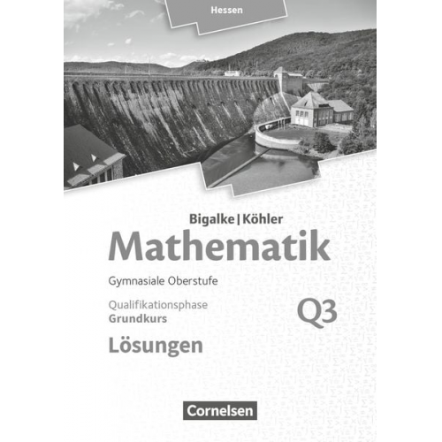 Norbert Köhler Anton Bigalke Gabriele Ledworuski Horst Kuschnerow - Mathematik Grundkurs 3. Halbjahr - Hessen - Band Q3