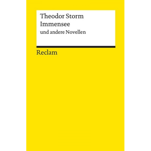 Theodor Storm - Immensee und andere Novellen