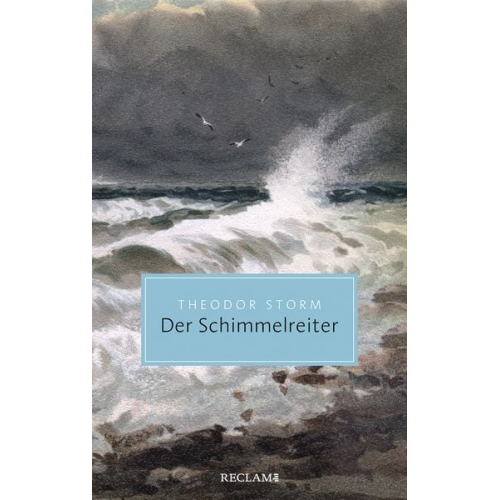 Theodor Storm - Der Schimmelreiter