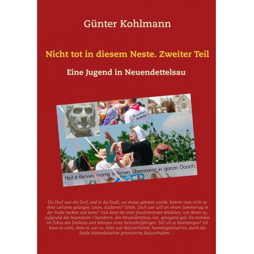 Günter Kohlmann - Nicht tot in diesem Neste. Zweiter Teil