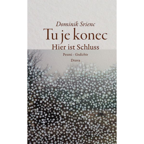 Dominik Srienc - Tu je konec · Hier ist Schluss