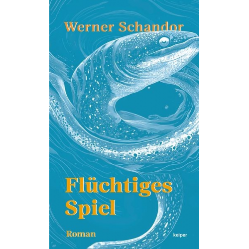 Werner Schandor - Flüchtiges Spiel