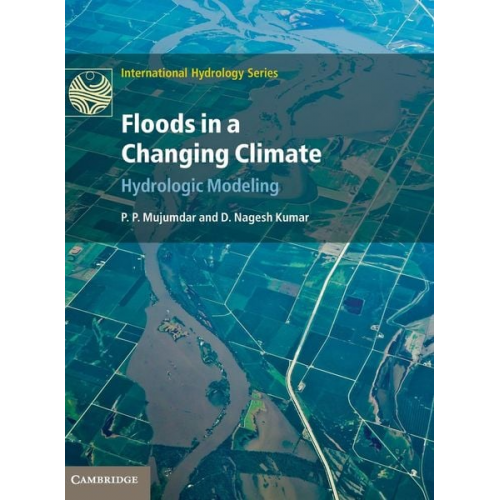 P. P. Mujumdar D. Nagesh Kumar - Floods in a Changing Climate