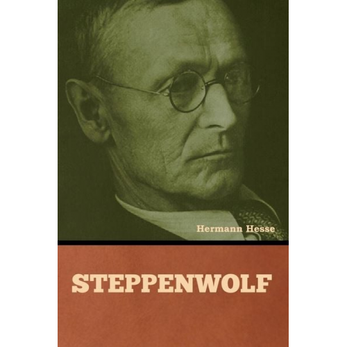 Hermann Hesse - Steppenwolf