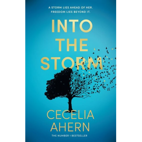 Cecelia Ahern - Into the Storm