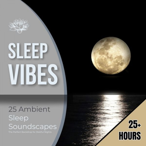 Sleep Vibes-Reset Your Brain For Sleep - Sleep Vibes: 25 Ambient Sleep Soundscapes