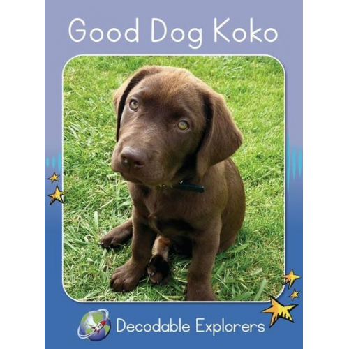 Rachel Walker - Good Dog Koko