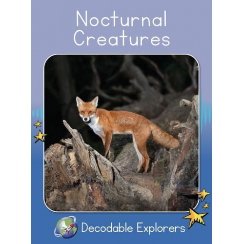 Rachel Walker - Nocturnal Creatures