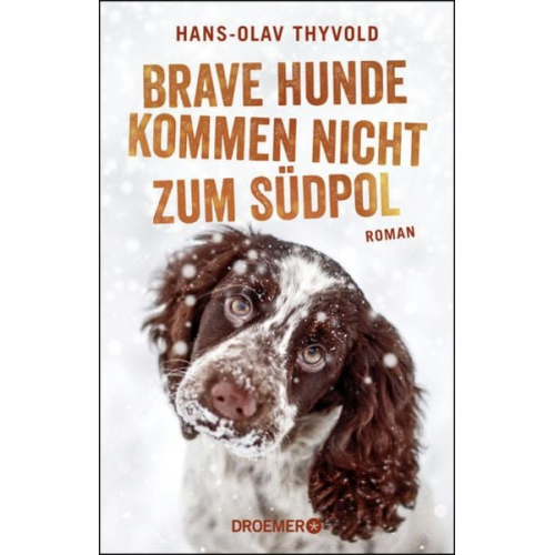 Hans-Olav Thyvold - Brave Hunde kommen nicht zum Südpol