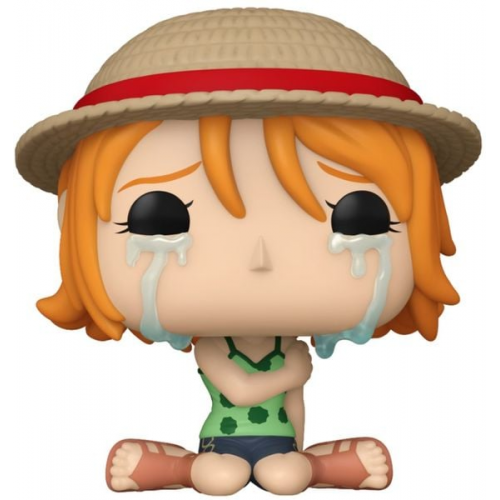 POP Animation: OP(Refresh)- Nami