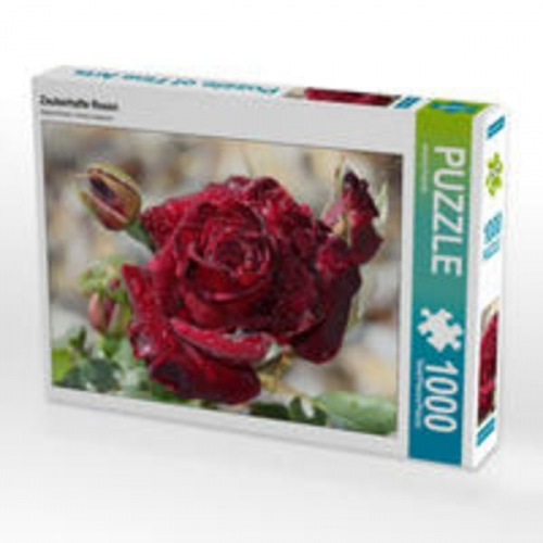 CALVENDO Puzzle Zauberhafte Rosen | 1000 Teile Lege-Größe 64x48cm Foto-Puzzle für glückliche Stunden