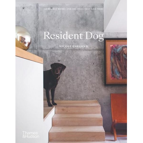 Nicole England - Resident Dog (Compact)