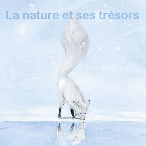 Olivier Tallec Anne Brouillard Kimiko Christine Davenier Inbar Heller Algazi - La nature et ses trésors