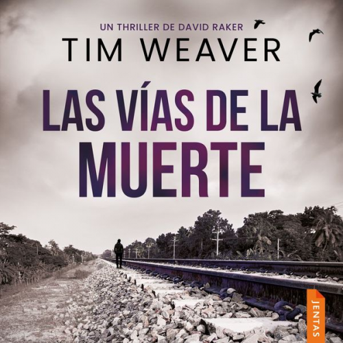 Tim Weaver - Las vías de la muerte