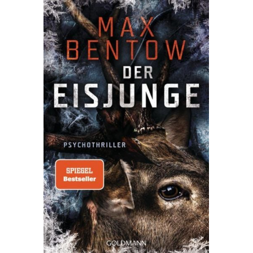 Max Bentow - Der Eisjunge