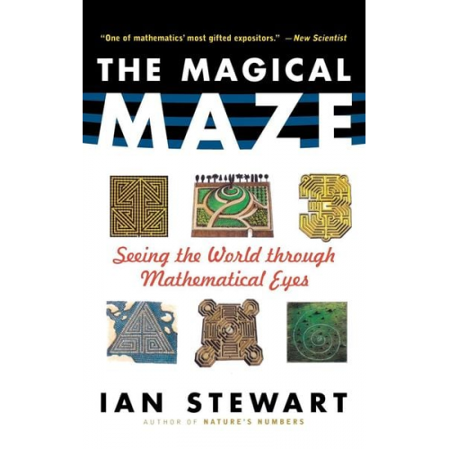 Ian Stewart - The Magical Maze