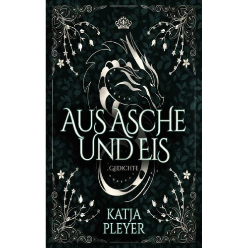 Katja Pleyer - Aus Asche und Eis