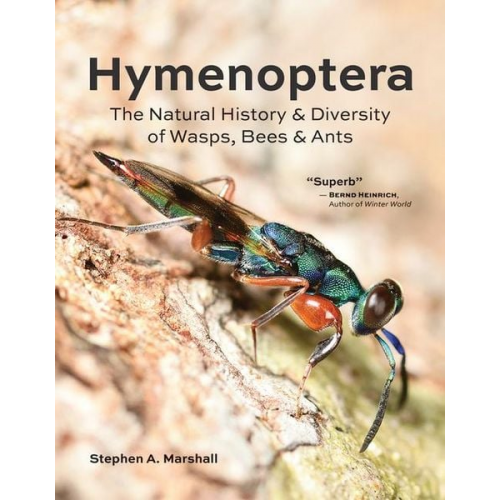 Stephen A. Marshall - Hymenoptera