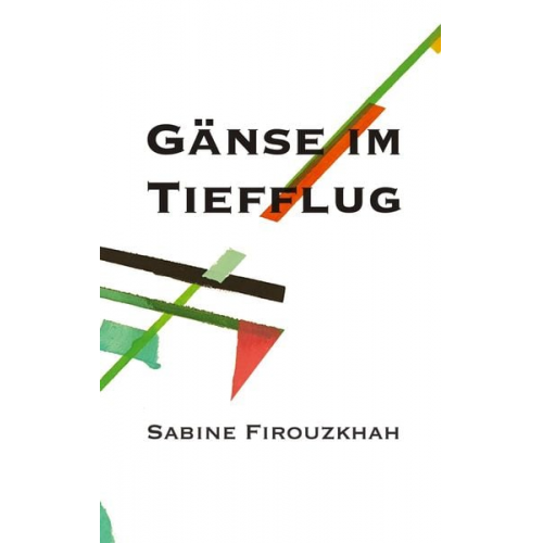 Sabine Firouzkhah - Gänse im Tiefflug