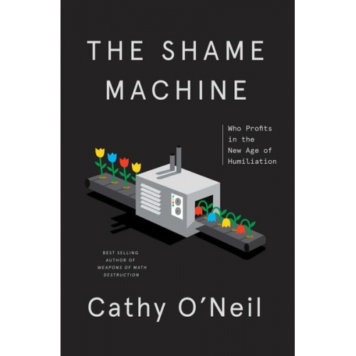 Cathy O'Neil - The Shame Machine