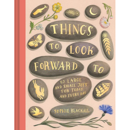 Sophie Blackall - Things to Look Forward to