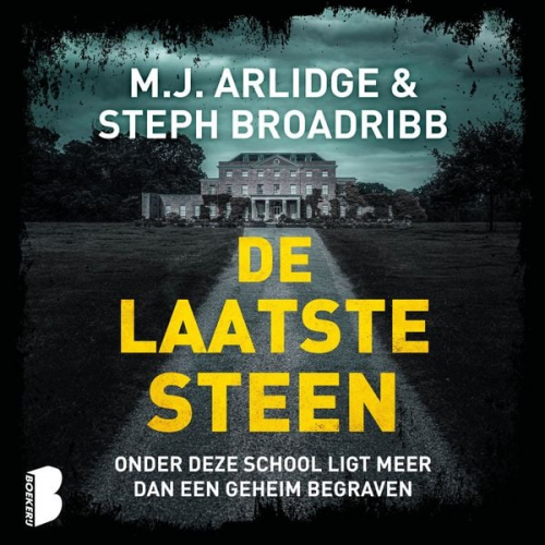 M.J. Arlidge Steph Broadribb - De laatste steen