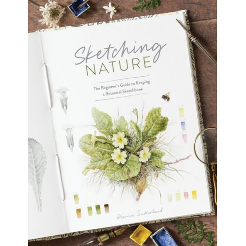 Dianne Sutherland - Sketching Nature