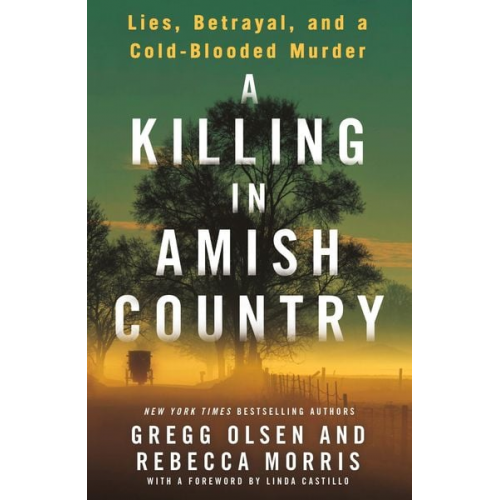 Gregg Olsen Rebecca Morris - A Killing in Amish Country