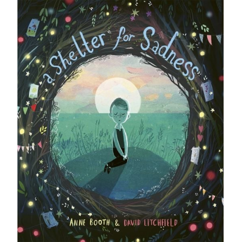 Anne Booth David Litchfield - A Shelter for Sadness